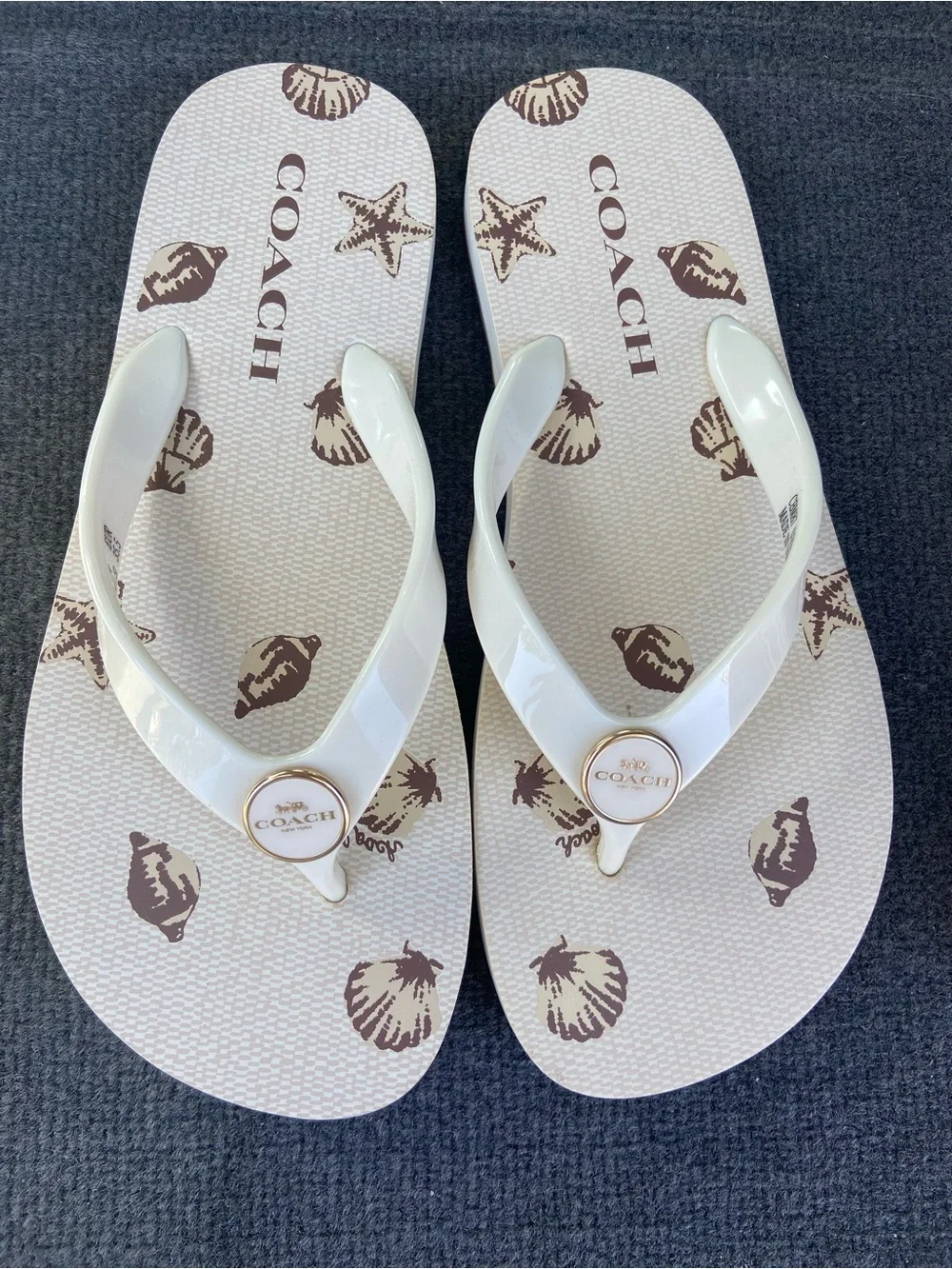 NWOT COACH White Flip Flop Sandals with Brown Shell Print Size 5B